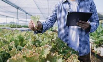 Futuristic businessman farms vegetables and crops using modern AI technology using mobile phones, temperature and humidity sensors, water tracking, climate control, holographic data data icons. photo