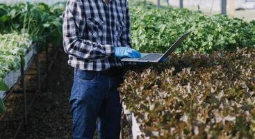 Futuristic businessman farms vegetables and crops using modern AI technology using mobile phones, temperature and humidity sensors, water tracking, climate control, holographic data data icons. photo