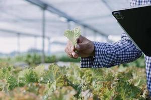 Futuristic businessman farms vegetables and crops using modern AI technology using mobile phones, temperature and humidity sensors, water tracking, climate control, holographic data data icons. photo