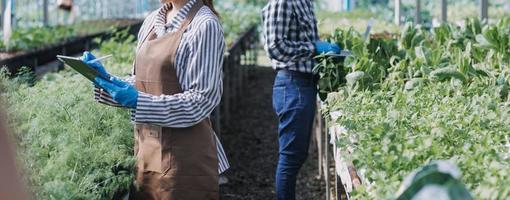 Futuristic businessman farms vegetables and crops using modern AI technology using mobile phones, temperature and humidity sensors, water tracking, climate control, holographic data data icons. photo