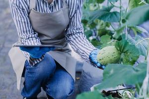 Futuristic businessman farms vegetables and crops using modern AI technology using mobile phones, temperature and humidity sensors, water tracking, climate control, holographic data data icons. photo