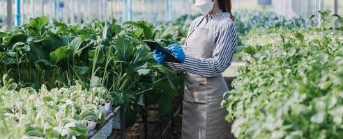 Futuristic businessman farms vegetables and crops using modern AI technology using mobile phones, temperature and humidity sensors, water tracking, climate control, holographic data data icons. photo
