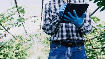 Futuristic businessman farms vegetables and crops using modern AI technology using mobile phones, temperature and humidity sensors, water tracking, climate control, holographic data data icons. photo