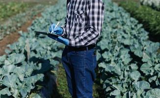 un hombre de negocios futurista cultiva verduras y cultivos usando tecnología moderna de inteligencia artificial usando teléfonos móviles, sensores de temperatura y humedad, rastreo de agua, control climático, íconos de datos holográficos. foto