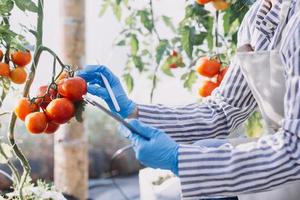 Futuristic businessman farms vegetables and crops using modern AI technology using mobile phones, temperature and humidity sensors, water tracking, climate control, holographic data data icons. photo