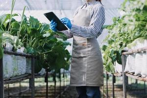 un hombre de negocios futurista cultiva verduras y cultivos usando tecnología moderna de inteligencia artificial usando teléfonos móviles, sensores de temperatura y humedad, rastreo de agua, control climático, íconos de datos holográficos. foto