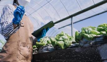 Futuristic businessman farms vegetables and crops using modern AI technology using mobile phones, temperature and humidity sensors, water tracking, climate control, holographic data data icons. photo