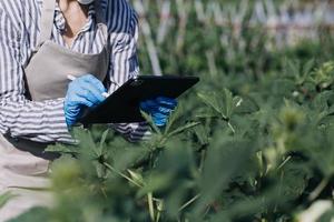 Futuristic businessman farms vegetables and crops using modern AI technology using mobile phones, temperature and humidity sensors, water tracking, climate control, holographic data data icons. photo