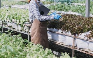 Futuristic businessman farms vegetables and crops using modern AI technology using mobile phones, temperature and humidity sensors, water tracking, climate control, holographic data data icons. photo