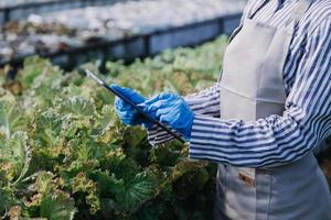 Futuristic businessman farms vegetables and crops using modern AI technology using mobile phones, temperature and humidity sensors, water tracking, climate control, holographic data data icons. photo