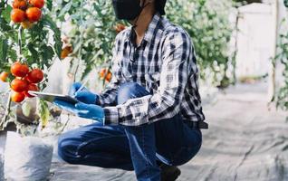 Futuristic businessman farms vegetables and crops using modern AI technology using mobile phones, temperature and humidity sensors, water tracking, climate control, holographic data data icons. photo