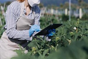 Futuristic businessman farms vegetables and crops using modern AI technology using mobile phones, temperature and humidity sensors, water tracking, climate control, holographic data data icons. photo