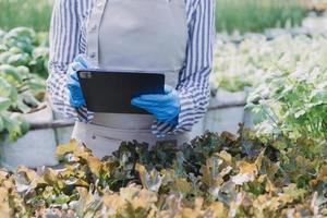 Futuristic businessman farms vegetables and crops using modern AI technology using mobile phones, temperature and humidity sensors, water tracking, climate control, holographic data data icons. photo