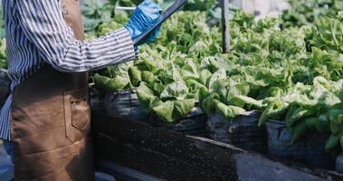 Futuristic businessman farms vegetables and crops using modern AI technology using mobile phones, temperature and humidity sensors, water tracking, climate control, holographic data data icons. photo