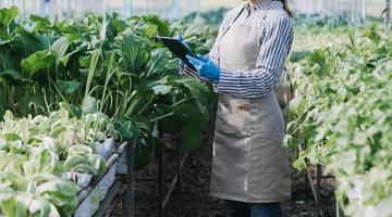 Futuristic businessman farms vegetables and crops using modern AI technology using mobile phones, temperature and humidity sensors, water tracking, climate control, holographic data data icons. photo