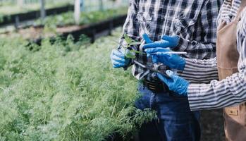 Futuristic businessman farms vegetables and crops using modern AI technology using mobile phones, temperature and humidity sensors, water tracking, climate control, holographic data data icons. photo