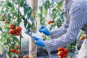 Futuristic businessman farms vegetables and crops using modern AI technology using mobile phones, temperature and humidity sensors, water tracking, climate control, holographic data data icons. photo