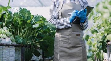 Futuristic businessman farms vegetables and crops using modern AI technology using mobile phones, temperature and humidity sensors, water tracking, climate control, holographic data data icons. photo