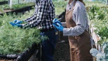 Futuristic businessman farms vegetables and crops using modern AI technology using mobile phones, temperature and humidity sensors, water tracking, climate control, holographic data data icons. photo