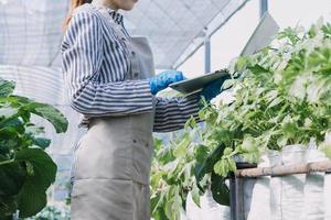 Futuristic businessman farms vegetables and crops using modern AI technology using mobile phones, temperature and humidity sensors, water tracking, climate control, holographic data data icons. photo