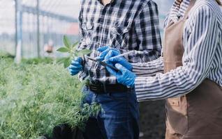 Futuristic businessman farms vegetables and crops using modern AI technology using mobile phones, temperature and humidity sensors, water tracking, climate control, holographic data data icons. photo