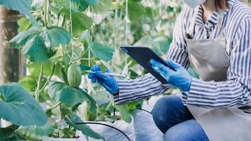 Futuristic businessman farms vegetables and crops using modern AI technology using mobile phones, temperature and humidity sensors, water tracking, climate control, holographic data data icons. photo