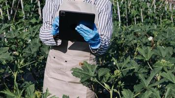 Futuristic businessman farms vegetables and crops using modern AI technology using mobile phones, temperature and humidity sensors, water tracking, climate control, holographic data data icons. photo
