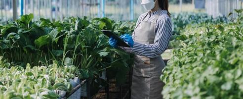 Futuristic businessman farms vegetables and crops using modern AI technology using mobile phones, temperature and humidity sensors, water tracking, climate control, holographic data data icons. photo