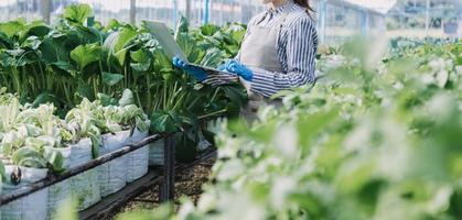Futuristic businessman farms vegetables and crops using modern AI technology using mobile phones, temperature and humidity sensors, water tracking, climate control, holographic data data icons. photo