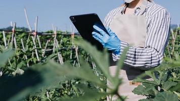 Futuristic businessman farms vegetables and crops using modern AI technology using mobile phones, temperature and humidity sensors, water tracking, climate control, holographic data data icons. photo