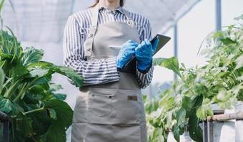 Futuristic businessman farms vegetables and crops using modern AI technology using mobile phones, temperature and humidity sensors, water tracking, climate control, holographic data data icons. photo