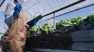 Futuristic businessman farms vegetables and crops using modern AI technology using mobile phones, temperature and humidity sensors, water tracking, climate control, holographic data data icons. photo