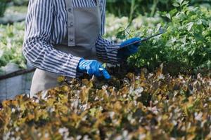 Futuristic businessman farms vegetables and crops using modern AI technology using mobile phones, temperature and humidity sensors, water tracking, climate control, holographic data data icons. photo