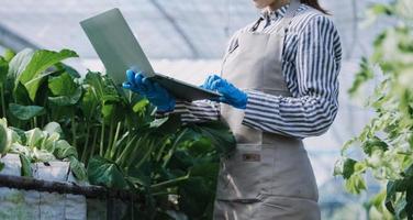 Futuristic businessman farms vegetables and crops using modern AI technology using mobile phones, temperature and humidity sensors, water tracking, climate control, holographic data data icons. photo