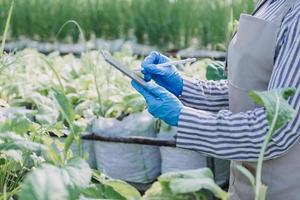 Futuristic businessman farms vegetables and crops using modern AI technology using mobile phones, temperature and humidity sensors, water tracking, climate control, holographic data data icons. photo