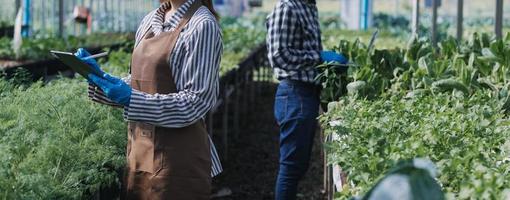 Futuristic businessman farms vegetables and crops using modern AI technology using mobile phones, temperature and humidity sensors, water tracking, climate control, holographic data data icons. photo