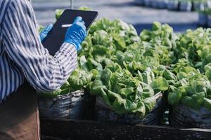Futuristic businessman farms vegetables and crops using modern AI technology using mobile phones, temperature and humidity sensors, water tracking, climate control, holographic data data icons. photo
