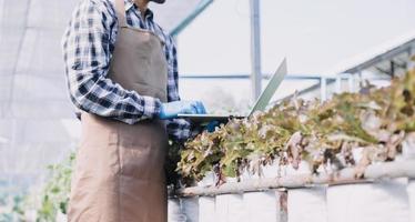 Futuristic businessman farms vegetables and crops using modern AI technology using mobile phones, temperature and humidity sensors, water tracking, climate control, holographic data data icons. photo