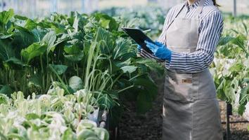 Futuristic businessman farms vegetables and crops using modern AI technology using mobile phones, temperature and humidity sensors, water tracking, climate control, holographic data data icons. photo