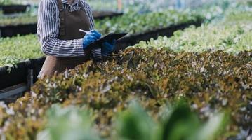 Futuristic businessman farms vegetables and crops using modern AI technology using mobile phones, temperature and humidity sensors, water tracking, climate control, holographic data data icons. photo