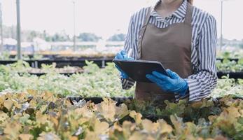 Futuristic businessman farms vegetables and crops using modern AI technology using mobile phones, temperature and humidity sensors, water tracking, climate control, holographic data data icons. photo