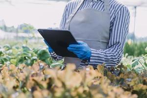 Futuristic businessman farms vegetables and crops using modern AI technology using mobile phones, temperature and humidity sensors, water tracking, climate control, holographic data data icons. photo