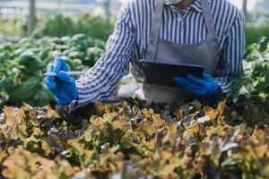 Futuristic businessman farms vegetables and crops using modern AI technology using mobile phones, temperature and humidity sensors, water tracking, climate control, holographic data data icons. photo