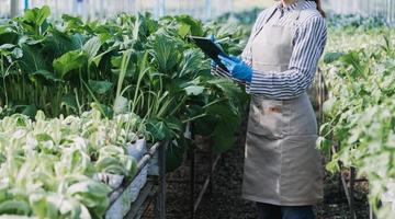 Futuristic businessman farms vegetables and crops using modern AI technology using mobile phones, temperature and humidity sensors, water tracking, climate control, holographic data data icons. photo