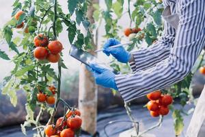 Futuristic businessman farms vegetables and crops using modern AI technology using mobile phones, temperature and humidity sensors, water tracking, climate control, holographic data data icons. photo