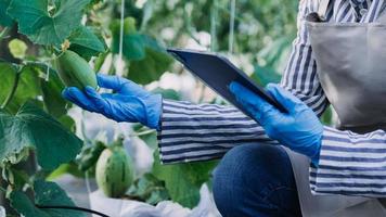 Futuristic businessman farms vegetables and crops using modern AI technology using mobile phones, temperature and humidity sensors, water tracking, climate control, holographic data data icons. photo