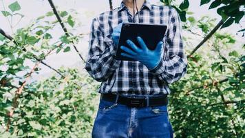 Futuristic businessman farms vegetables and crops using modern AI technology using mobile phones, temperature and humidity sensors, water tracking, climate control, holographic data data icons. photo