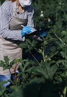Futuristic businessman farms vegetables and crops using modern AI technology using mobile phones, temperature and humidity sensors, water tracking, climate control, holographic data data icons. photo