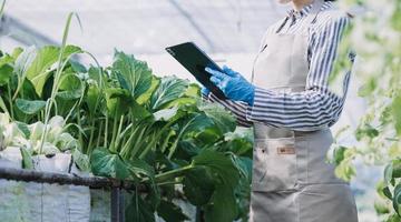 Futuristic businessman farms vegetables and crops using modern AI technology using mobile phones, temperature and humidity sensors, water tracking, climate control, holographic data data icons. photo