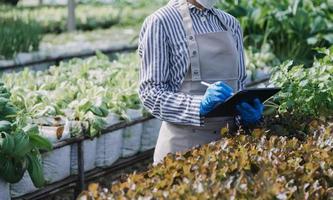 Futuristic businessman farms vegetables and crops using modern AI technology using mobile phones, temperature and humidity sensors, water tracking, climate control, holographic data data icons. photo